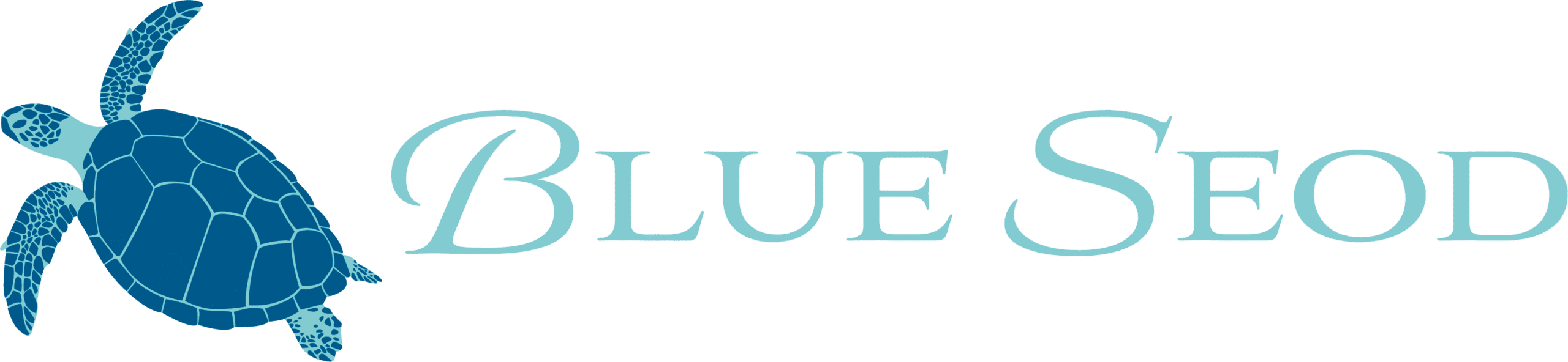 石垣島の初心者向けダイビングサービス　ブルーシード【公式】