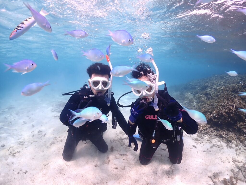 石垣島　体験ダイビング半日　きれいなお魚と海中撮影