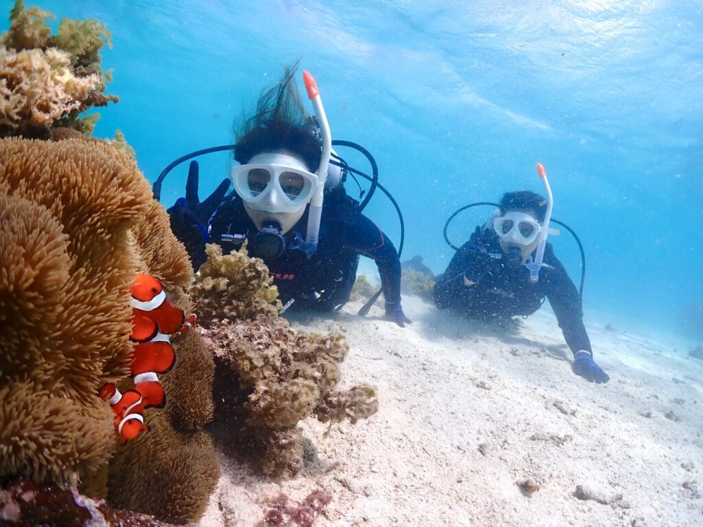 体験ダイビング【半日｜2便】水中撮影　クマノミと撮影