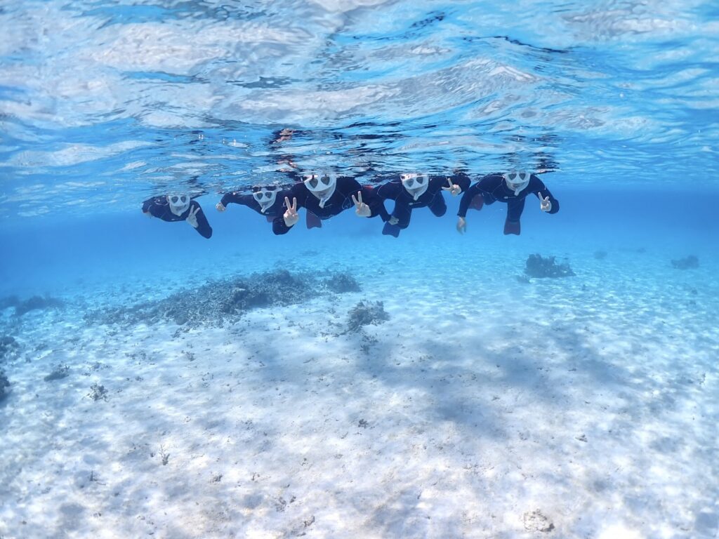 石垣島　シュノーケル1日プラン　水中写真