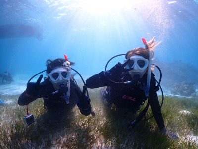 体験ダイビングの様子