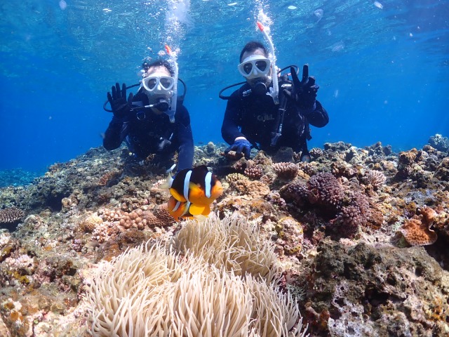 体験ダイビング