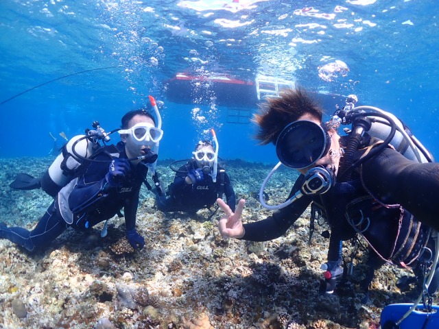 体験ダイビングの様子