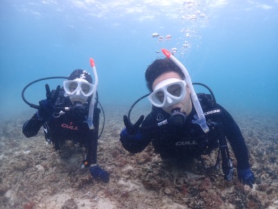 体験ダイビングの様子