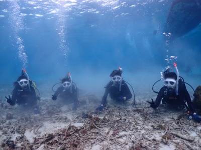 体験ダイビングの様子