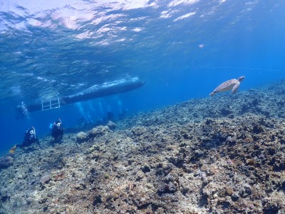 体験ダイビングの様子