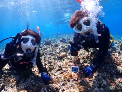 体験ダイビングの様子