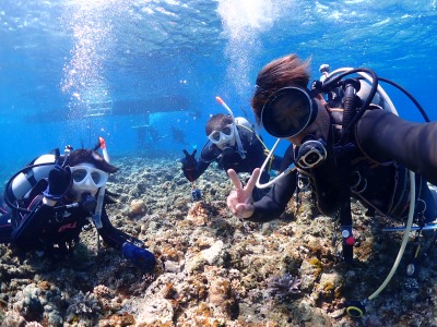 体験ダイビングの様子