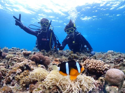 体験ダイビングの様子