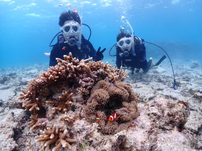 体験ダイビングの様子