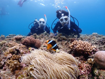 体験ダイビングの様子