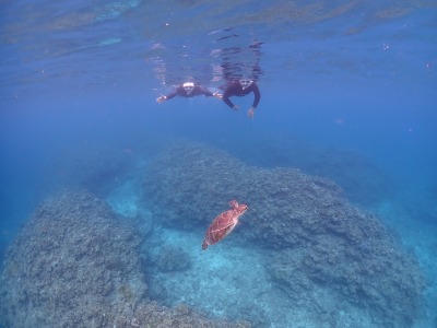体験ダイビングの様子