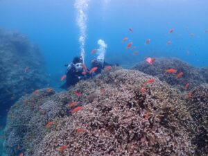 体験ダイビングの様子