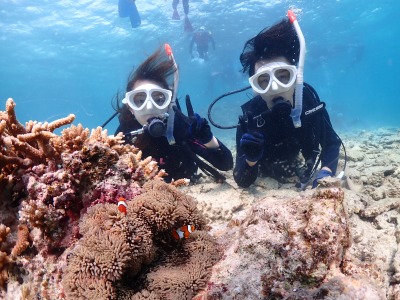 体験ダイビングの様子