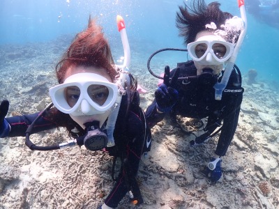 体験ダイビングの様子