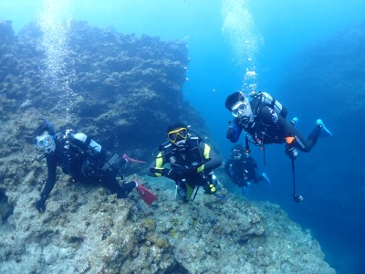ダイビングの様子