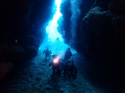 ダイビングの様子