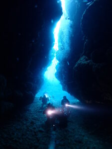 ダイビングの様子