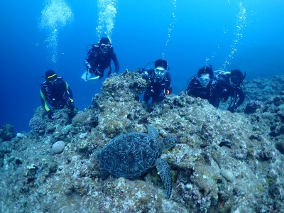 ダイビングの様子