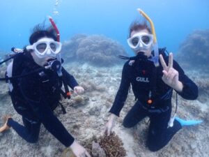 石垣島　体験ダイビング　1日