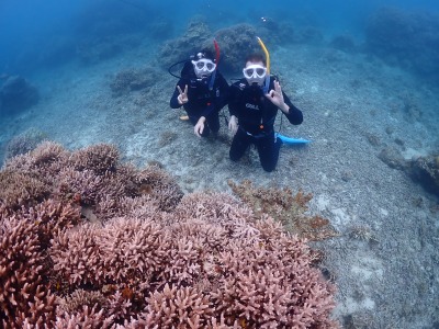 石垣島　体験ダイビング　珊瑚礁