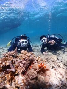 石垣島 体験ダイビング 午前 ニモ
