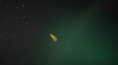 石垣島　ナイト　シュノーケル　星空