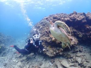 石垣島　体験ダイビング　1日　幻の島　ウミガメ