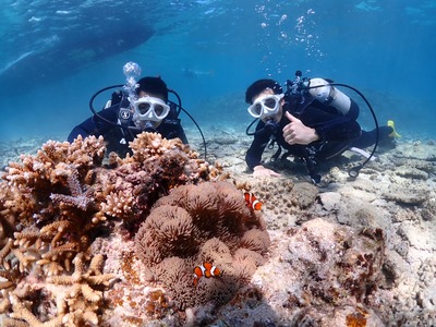 石垣島　体験ダイビング　午前　ニモ