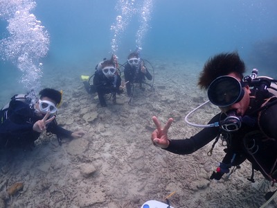 石垣島　体験ダイビング　午後　ウミガメ