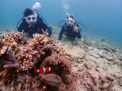石垣島　体験ダイビング　午前　幻の島