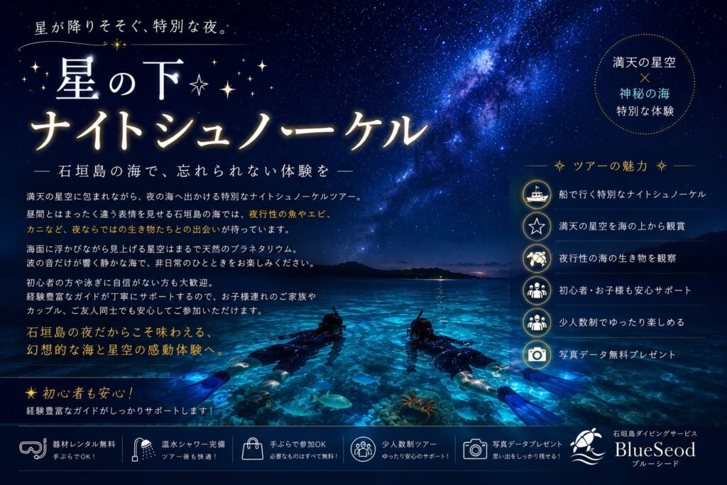 石垣島　ナイト　シュノーケル　星空　夜行中　天の川