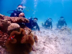 石垣島　午後　体験ダイビング