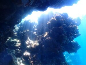 石垣島 午後 体験ダイビング ニモ