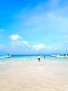 石垣島　半日　体験ダイビング　幻の島