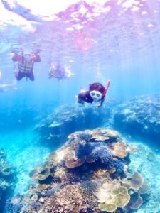石垣島　半日　シュノーケル　ウミガメ　家族　珊瑚礁