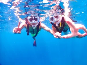 石垣島 体験ダイビング 午後 ウミガメ シュノーケル