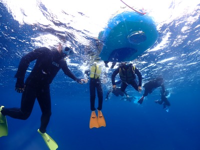石垣島　1日　シュノーケル　家族