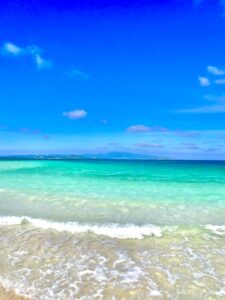石垣島　半日　体験ダイビング　幻の島