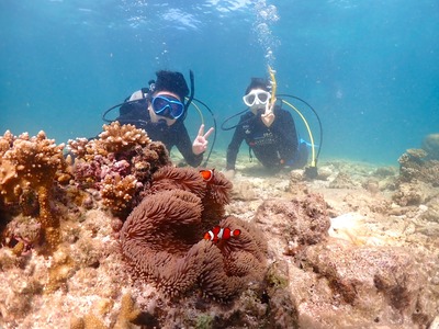 石垣島　1日　体験ダイビング　幻の島　ニモ　カップル