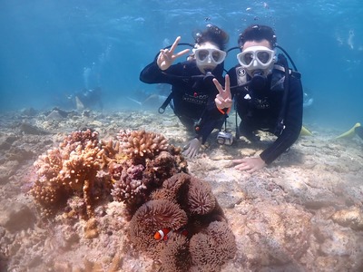 石垣島　半日　体験ダイビング　ニモ　カップル