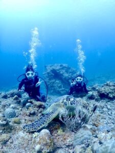 石垣島 1日 体験ダイビング ウミガメ 女子旅