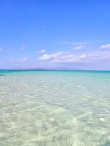 石垣島　1日　体験ダイビング　幻の島　カップル