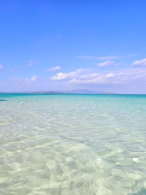 石垣島　1日　体験ダイビング　幻の島　カップル