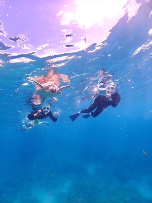 石垣島　午後　体験ダイビング　女子旅　ウミガメ　シュノーケル